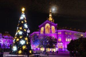 מופע האורות של סנט פאו-כריסמס גארדן - בית החולים סנט פאו חגיגת חג המולד